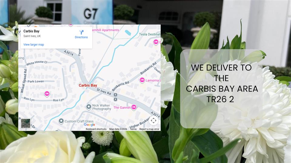 Map Location of Carbis Bay Delivery Area